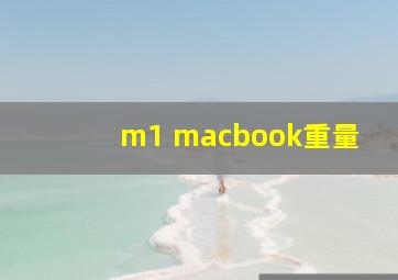 m1 macbook重量